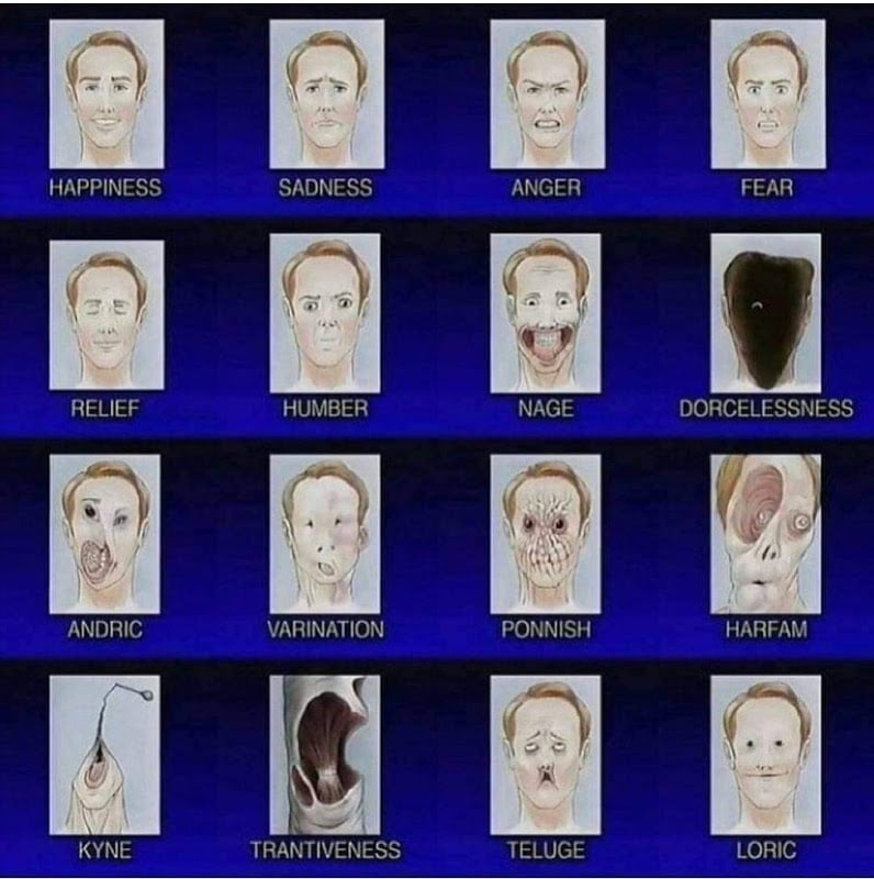 Grid of emotion drawings showing traditional and new emotions